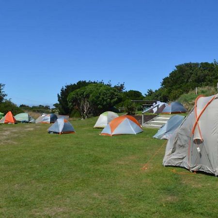 Dunedin Holiday Park Exteriör bild
