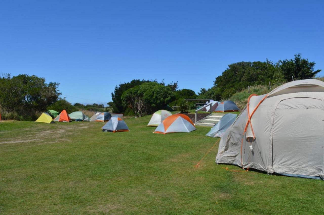 Dunedin Holiday Park Exteriör bild